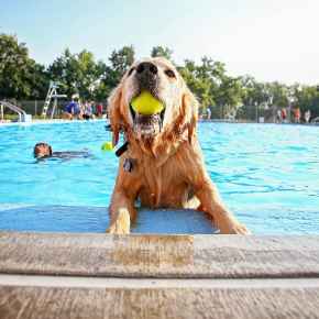 Picture for category TOYS UNDER $15